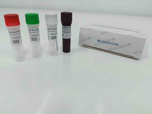 品質  Real Time Monkeypox PCR Test Kit With Positive / Negative Control 工場